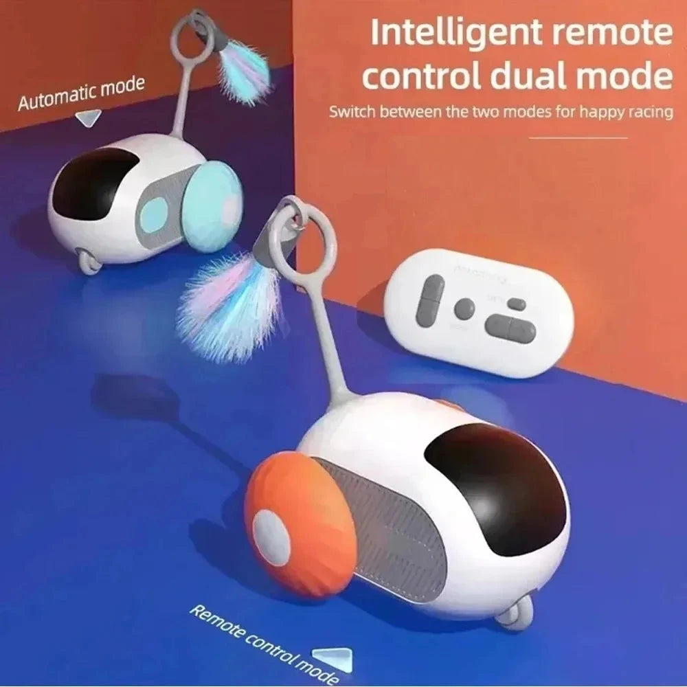 USB-controlled interactive car toy for pets.