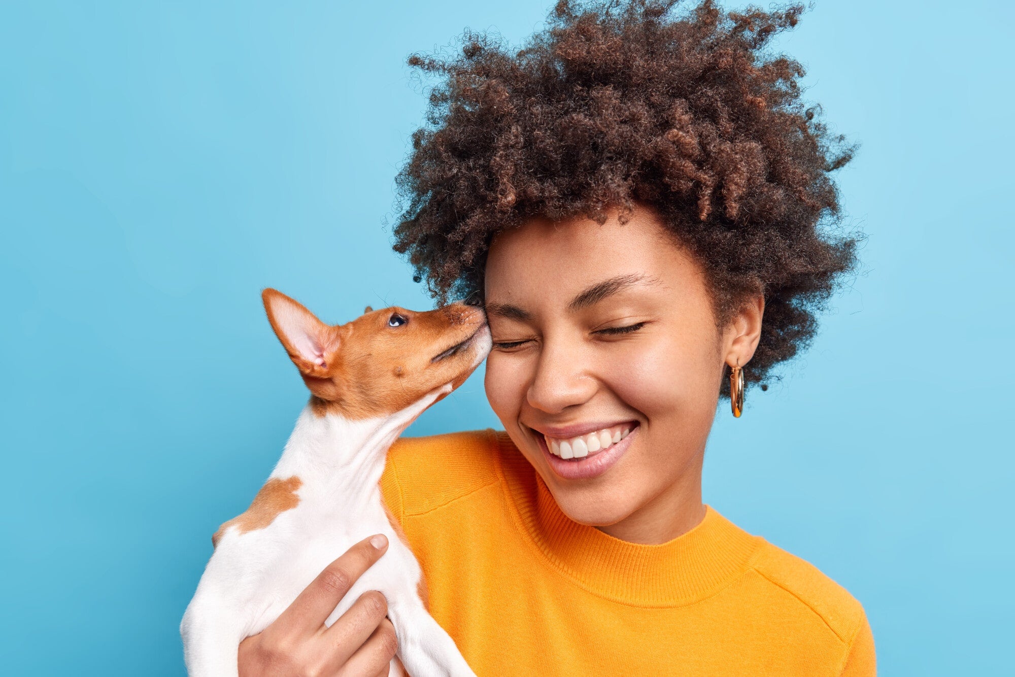 Premium clothing, accessories, and essentials designed for modern pets.